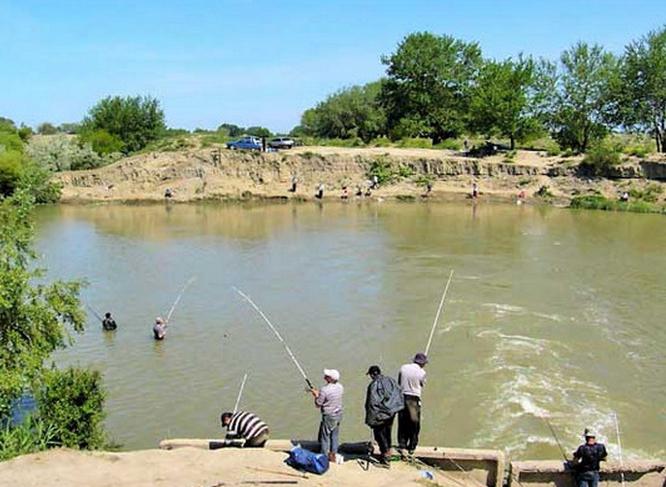 Dagestan'da sazan üzerinde balık tutma 